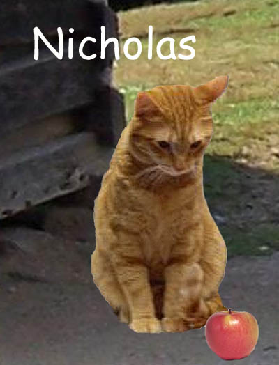NicholasCAT.jpg